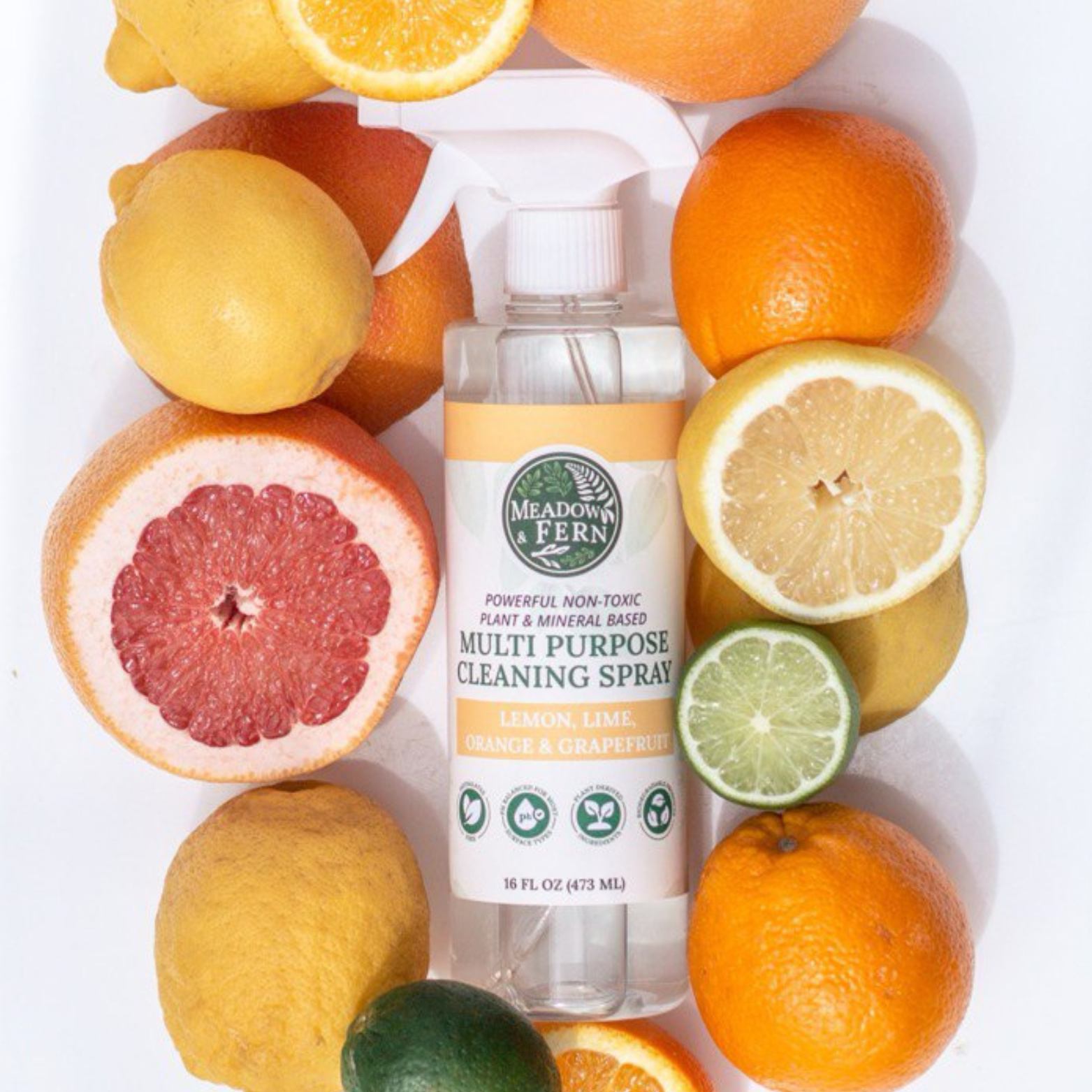 Multi-Purpose Cleaning Spray