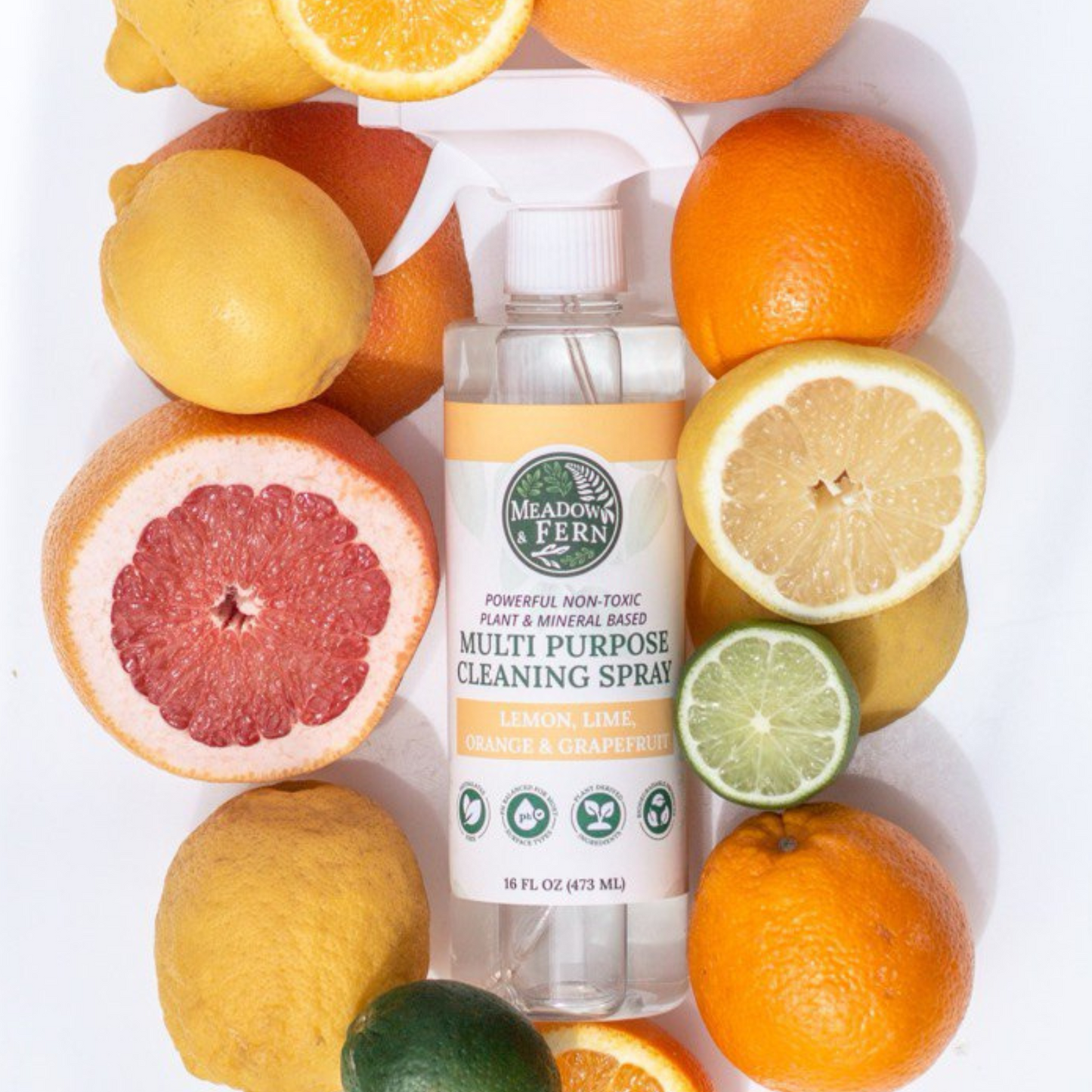Multi-Purpose Cleaning Spray