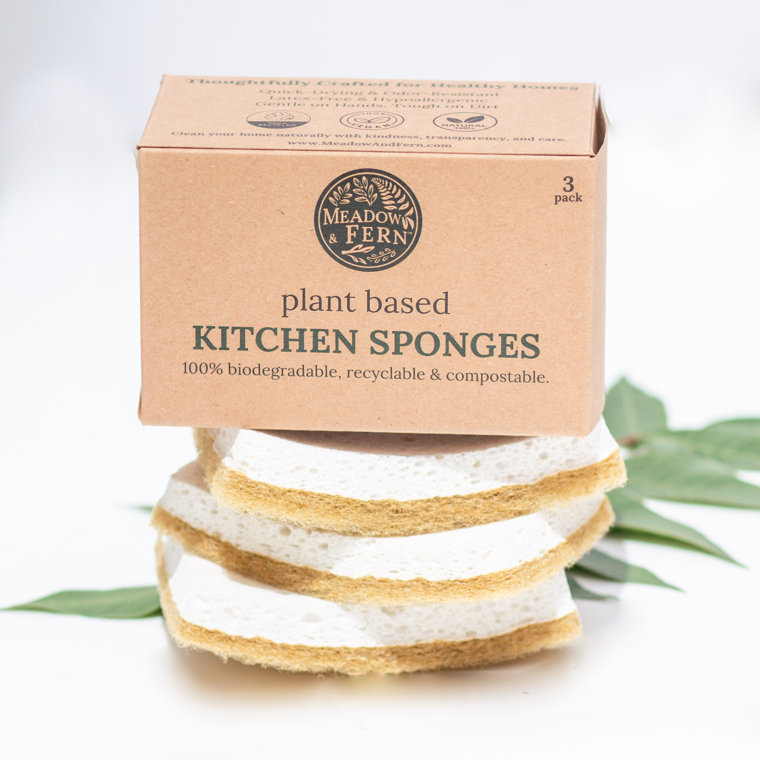 Plant-Based Kitchen Sponges