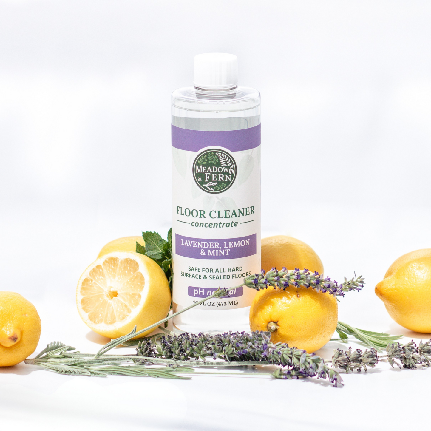 Multi-Surface Floor Cleaner | Concentrate