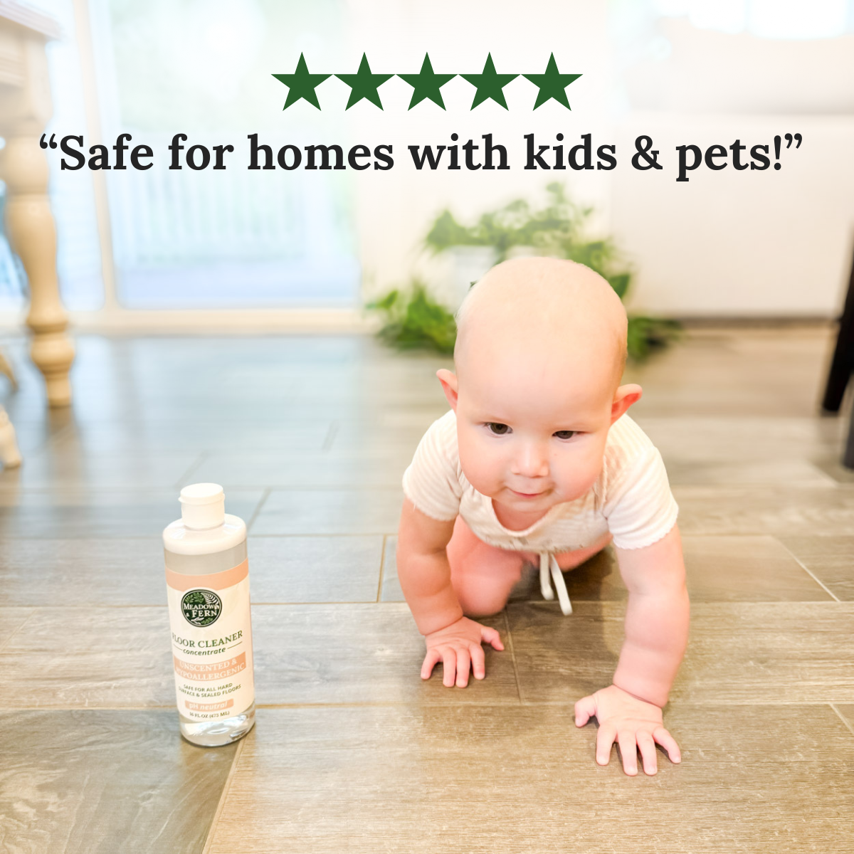 Multi-Surface Floor Cleaner | Concentrate