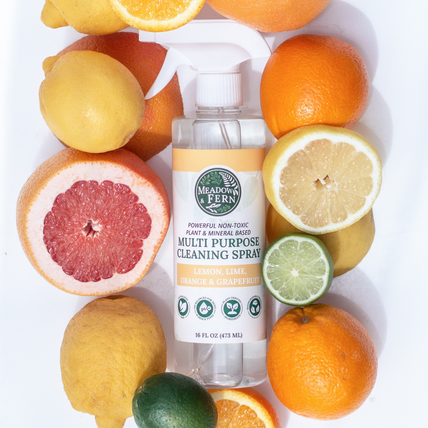 Multi-Purpose Cleaning Spray